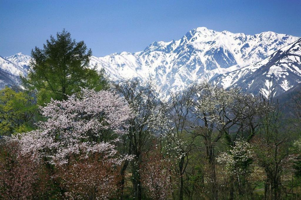 Country Inn Kashiwabara Hakuba Exterior photo